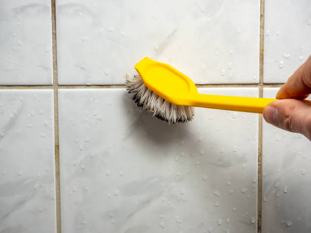 Best DIY Mold Remediation Support Services in Yellow Springs, OH